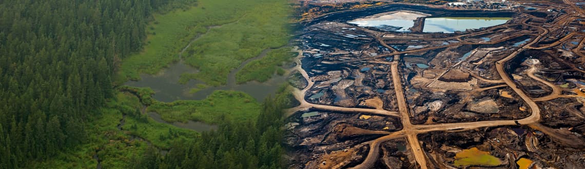 Tar sands remediation site