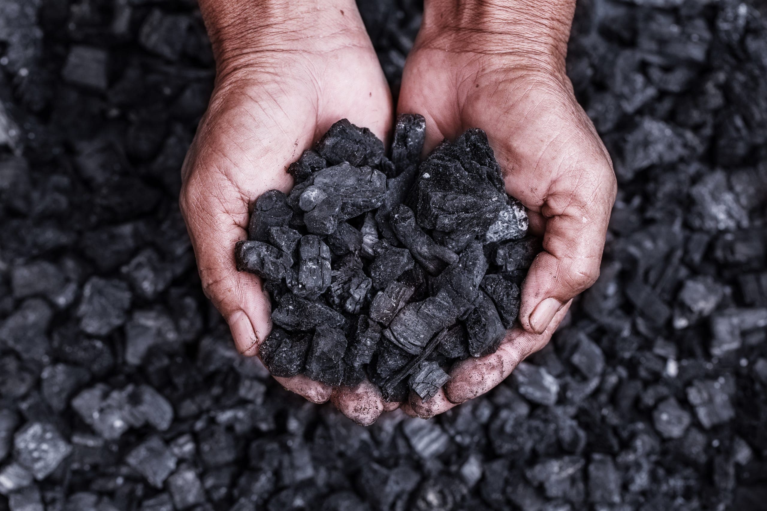 Palm Oil Smallholder Biochar