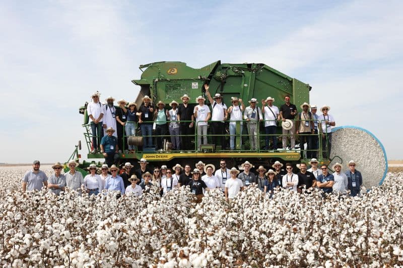 Sustainable Cotton